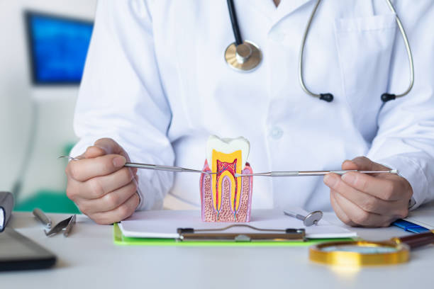 Best Emergency Cosmetic Dentistry in Kingsley, MI